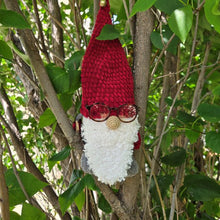 Load image into Gallery viewer, amigurumi gnome wearing glasses
