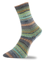 Load image into Gallery viewer, Pro Lana Sock 2025