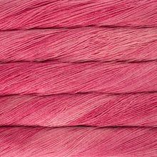 Load image into Gallery viewer, Malabrigo Arroyo