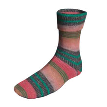 Load image into Gallery viewer, Lang Yarns dk 6 ply sock yarn