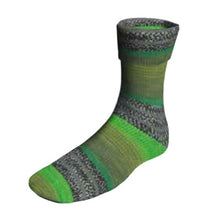 Load image into Gallery viewer, Lang Yarns dk 6 ply sock yarn