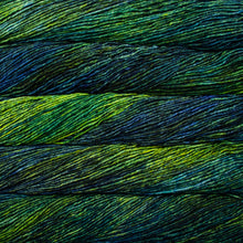 Load image into Gallery viewer, Single ply chunky hand dyed yarn