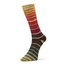Load image into Gallery viewer, merino sock yarn for knitting