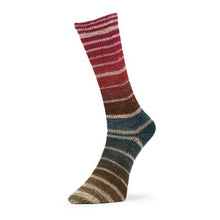 Load image into Gallery viewer, merino sock yarn for knitting