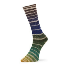 Load image into Gallery viewer, merino sock yarn for knitting