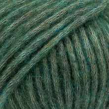 Load image into Gallery viewer, Jo's Yarn Garden knitting wool yarn