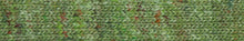 Load image into Gallery viewer, Jo's Yarn Garden wool knitting yarn