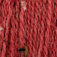 Load image into Gallery viewer, Jo's Yarn Garden Knitting Yarn