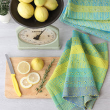 Load image into Gallery viewer, Ashford Rigid Heddle Weaving Basics and Beyond