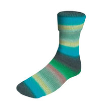 Load image into Gallery viewer, Lang Yarns dk 6 ply sock yarn