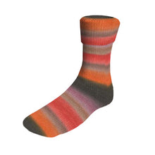 Load image into Gallery viewer, Lang Yarns dk 6 ply sock yarn