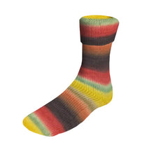 Load image into Gallery viewer, Lang Yarns dk 6 ply sock yarn