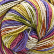 Load image into Gallery viewer, Cascade Yarns Heritage Prints 2023