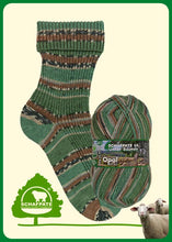 Load image into Gallery viewer, opal sock yarn for knitting