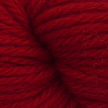 Load image into Gallery viewer, Jo's Yarn Garden yarn