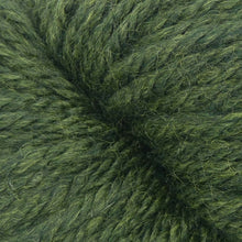 Load image into Gallery viewer, Jo's Yarn Garden yarn