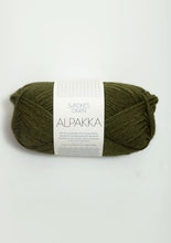 Load image into Gallery viewer, Jo's Yarn Garden alpaca knitting yarn