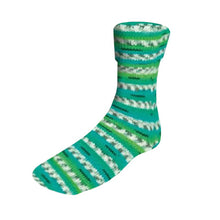 Load image into Gallery viewer, Wool sock knitting yarn