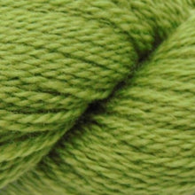 Load image into Gallery viewer, Jo's Yarn Garden wool yarn