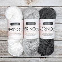 Load image into Gallery viewer, bulky merino yarn single ply