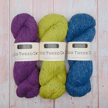 Load image into Gallery viewer, Jo's Yarn Garden GOTS wool yarn