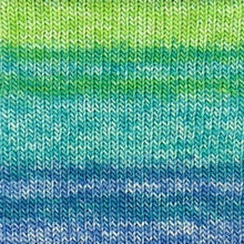 Load image into Gallery viewer, merino sock yarn