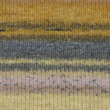 Load image into Gallery viewer, merino sock yarn