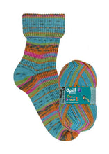 Load image into Gallery viewer, Jo's Yarn Garden wool knitting sock yarn