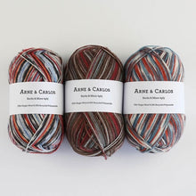 Load image into Gallery viewer, Arne &amp; Carlos Socks and More 4 Ply
