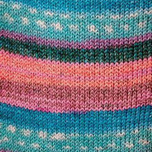 Load image into Gallery viewer, Jo&#39;s Yarn Garden knitting sock yarn
