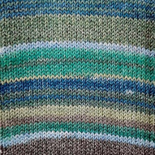 Load image into Gallery viewer, Jo&#39;s Yarn Garden knitting sock yarn
