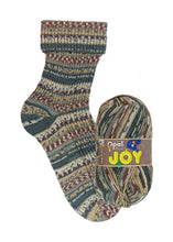 Load image into Gallery viewer, Jo&#39;s Yarn Garden wool knitting sock yarn
