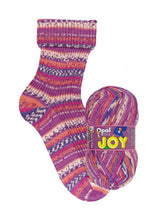 Load image into Gallery viewer, Jo&#39;s Yarn Garden wool knitting sock yarn
