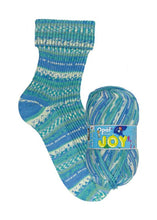 Load image into Gallery viewer, Jo&#39;s Yarn Garden wool knitting sock yarn
