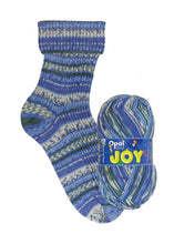 Load image into Gallery viewer, Jo&#39;s Yarn Garden wool knitting sock yarn
