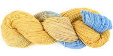 Load image into Gallery viewer, Fleece Artist Organic Cottage Sock in National Park colours

