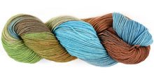 Load image into Gallery viewer, Fleece Artist Organic Cottage Sock in National Park colours
