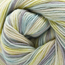 Load image into Gallery viewer, Cascade Yarns Heritage Prints 2023
