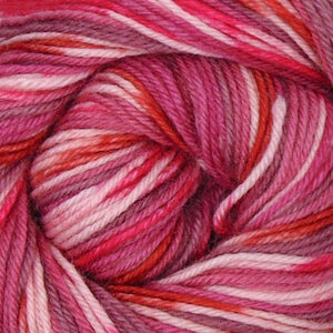 Cascade Yarns Heritage Prints 2023