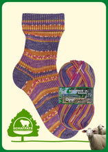 Load image into Gallery viewer, opal sock yarn for knitting
