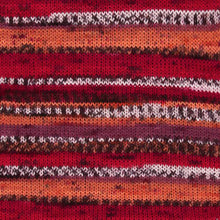 Load image into Gallery viewer, Jo&#39;s Yarn Garden knitting wool sock yarn
