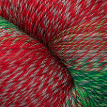 Load image into Gallery viewer, Jo&#39;s Yarn Garden wool sock knitting yarn
