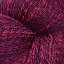 Load image into Gallery viewer, Jo&#39;s Yarn Garden wool sock knitting yarn
