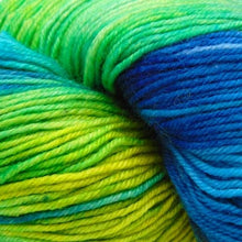 Load image into Gallery viewer, Jo&#39;s Yarn Garden wool knitting yarn
