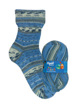 Load image into Gallery viewer, Jo&#39;s Yarn Garden wool knitting sock yarn
